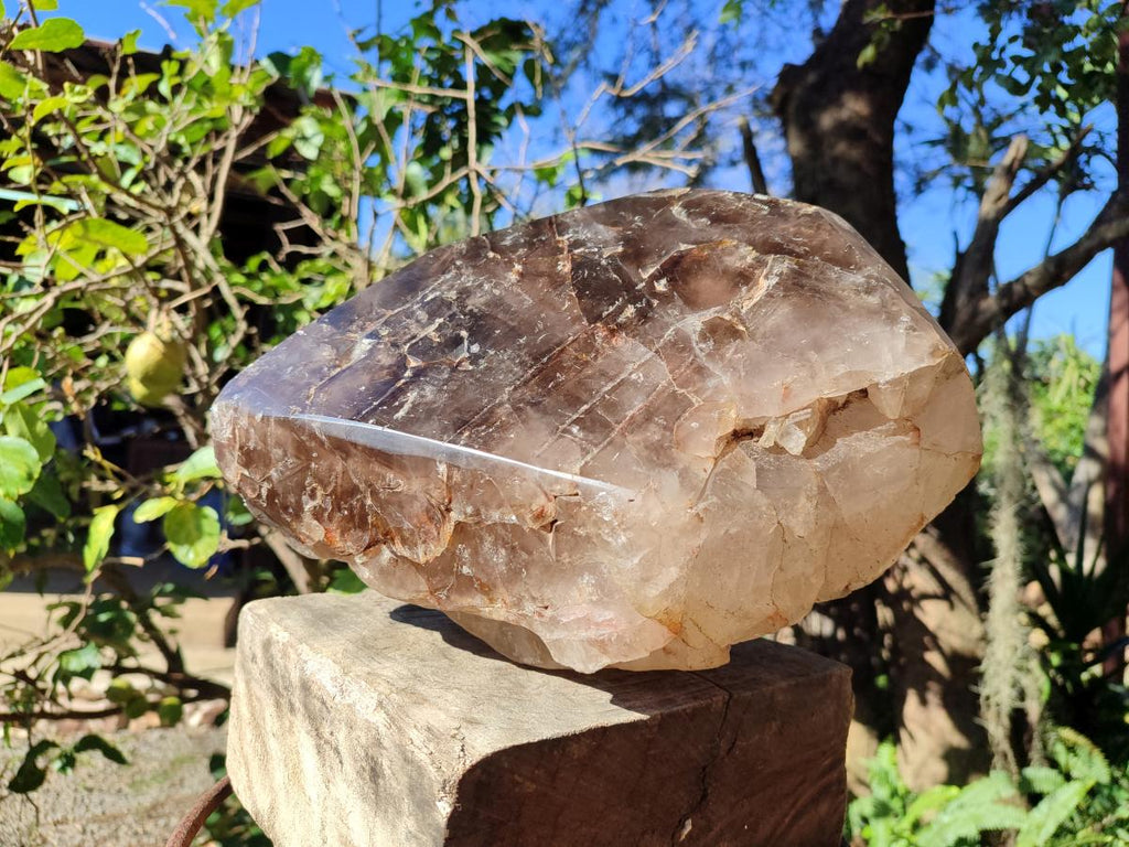 Polished XL Dark Smokey Window Quartz Crystal x 1 From Madagascar - Toprock Gemstones and Minerals 