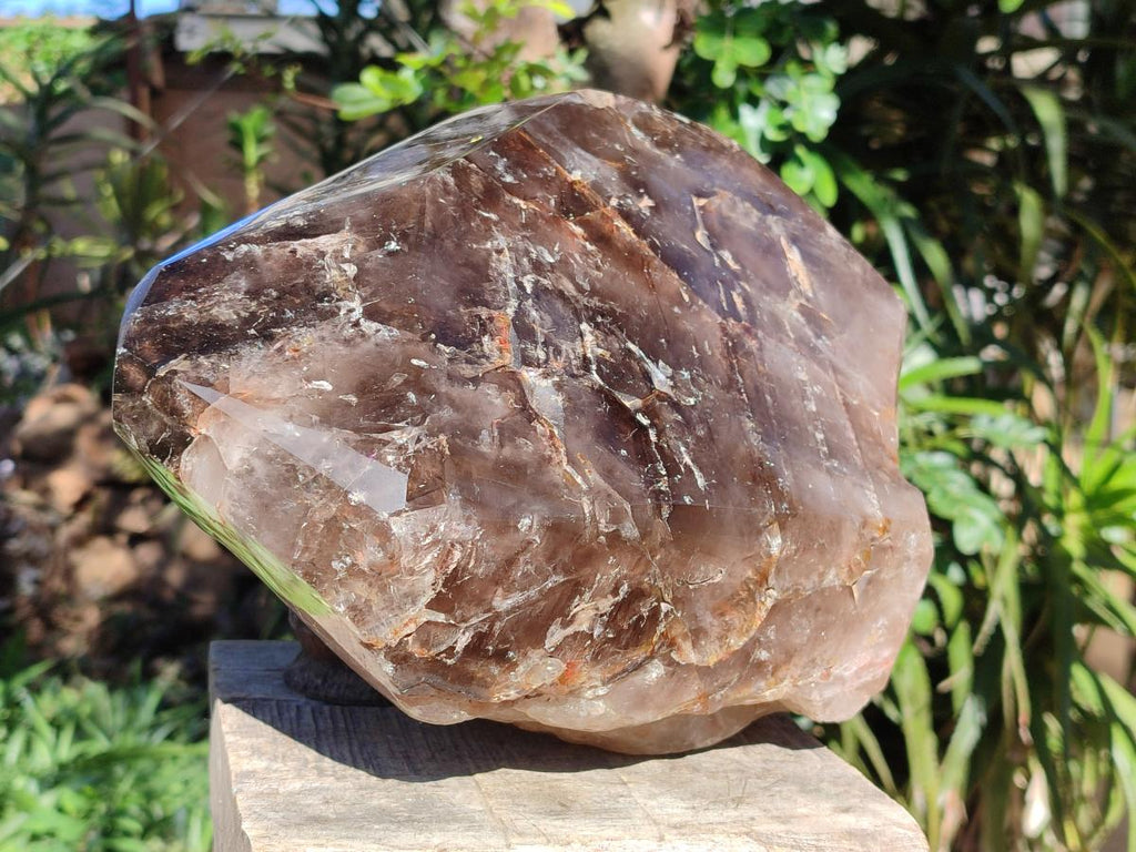 Polished XL Dark Smokey Window Quartz Crystal x 1 From Madagascar - Toprock Gemstones and Minerals 