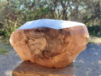 Polished XL Dark Smokey Window Quartz Crystal x 1 From Madagascar - Toprock Gemstones and Minerals 