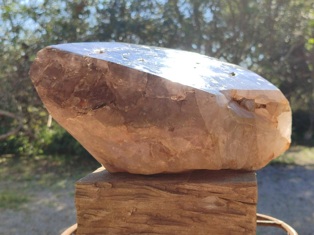 Polished XL Dark Smokey Window Quartz Crystal x 1 From Madagascar - Toprock Gemstones and Minerals 