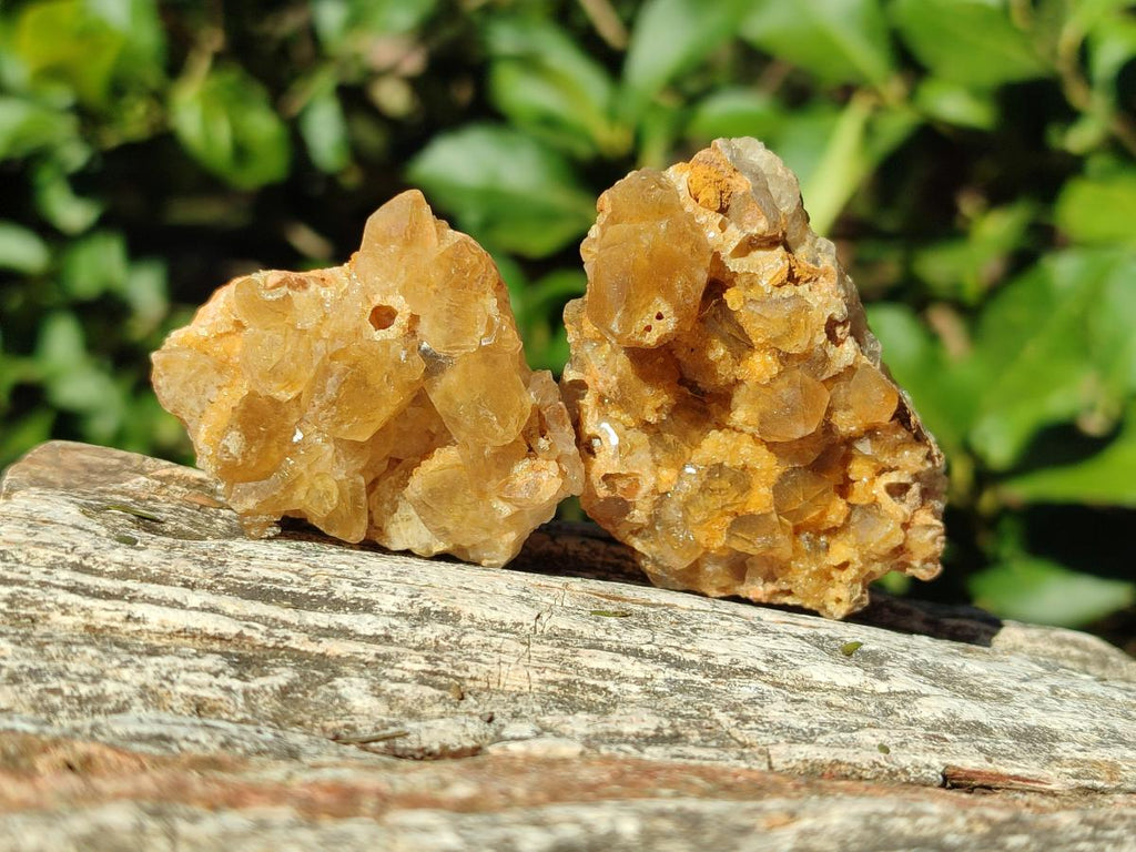 Natural Golden Limonite Quartz Clusters x 35 From Solwezi, Zambia - Toprock Gemstones and Minerals 