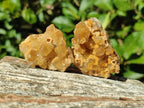 Natural Golden Limonite Quartz Clusters x 35 From Solwezi, Zambia - Toprock Gemstones and Minerals 