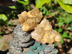 Natural Golden Limonite Quartz Clusters x 35 From Solwezi, Zambia - Toprock Gemstones and Minerals 