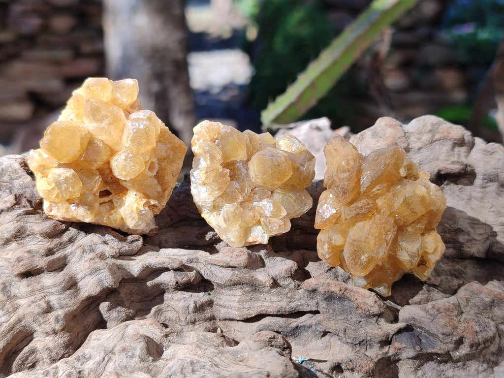 Natural Golden Limonite Quartz Clusters x 35 From Solwezi, Zambia - Toprock Gemstones and Minerals 