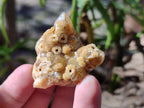 Natural Golden Limonite Quartz Clusters x 35 From Solwezi, Zambia - Toprock Gemstones and Minerals 