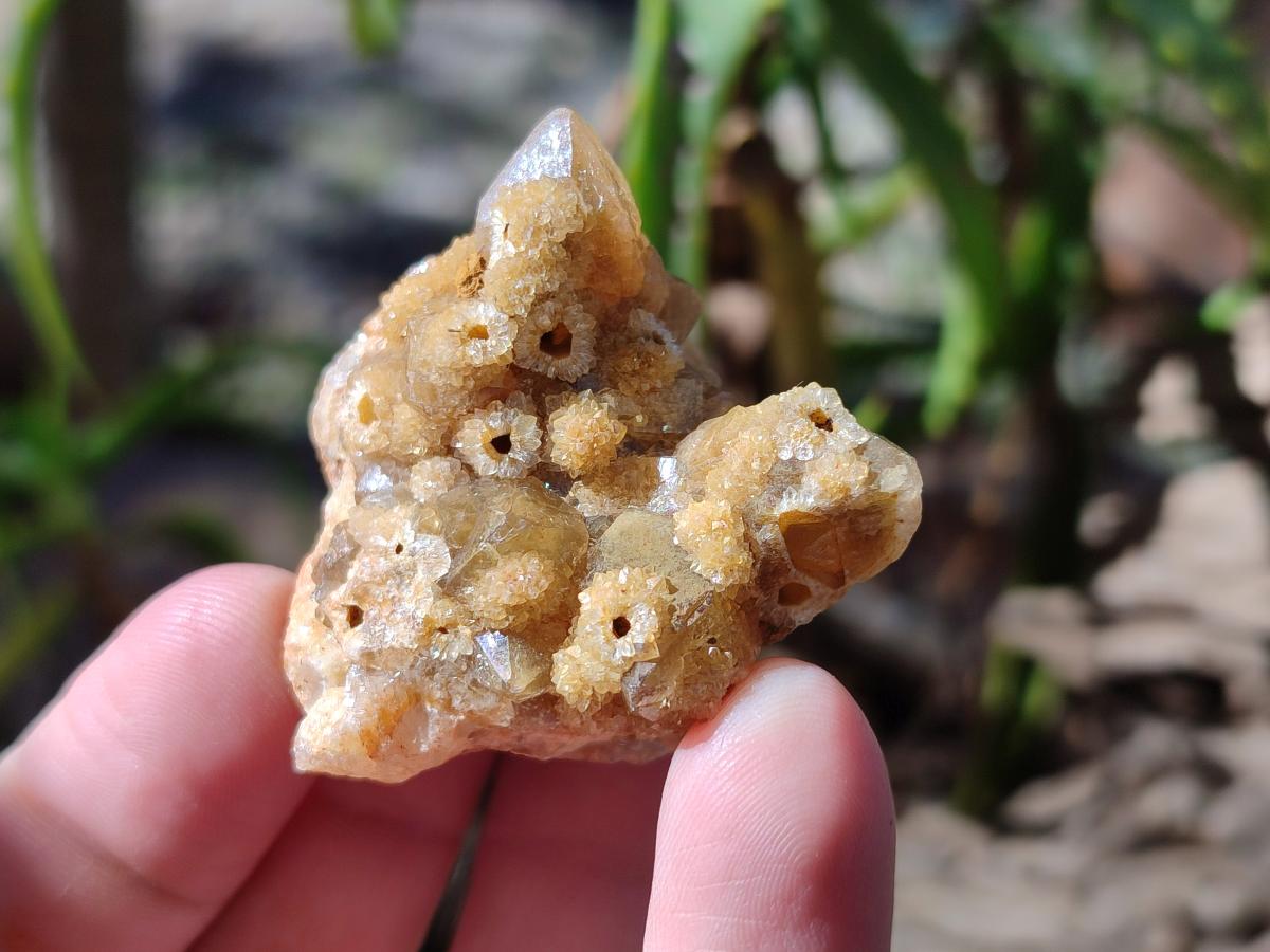 Natural Golden Limonite Quartz Clusters x 35 From Solwezi, Zambia - Toprock Gemstones and Minerals 