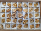 Natural Golden Limonite Quartz Clusters x 35 From Solwezi, Zambia - Toprock Gemstones and Minerals 