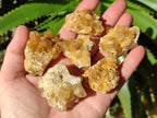 Natural Golden Limonite Quartz Clusters x 35 From Solwezi, Zambia - Toprock Gemstones and Minerals 
