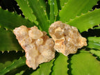 Natural Golden Limonite Quartz Clusters x 35 From Solwezi, Zambia - Toprock Gemstones and Minerals 