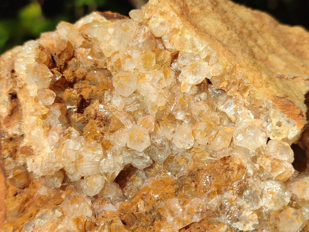 Natural Golden Limonite Quartz Clusters x 3 From Solwezi, Zambia - Toprock Gemstones and Minerals 