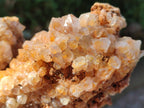 Natural Golden Limonite Quartz Clusters x 3 From Solwezi, Zambia - Toprock Gemstones and Minerals 