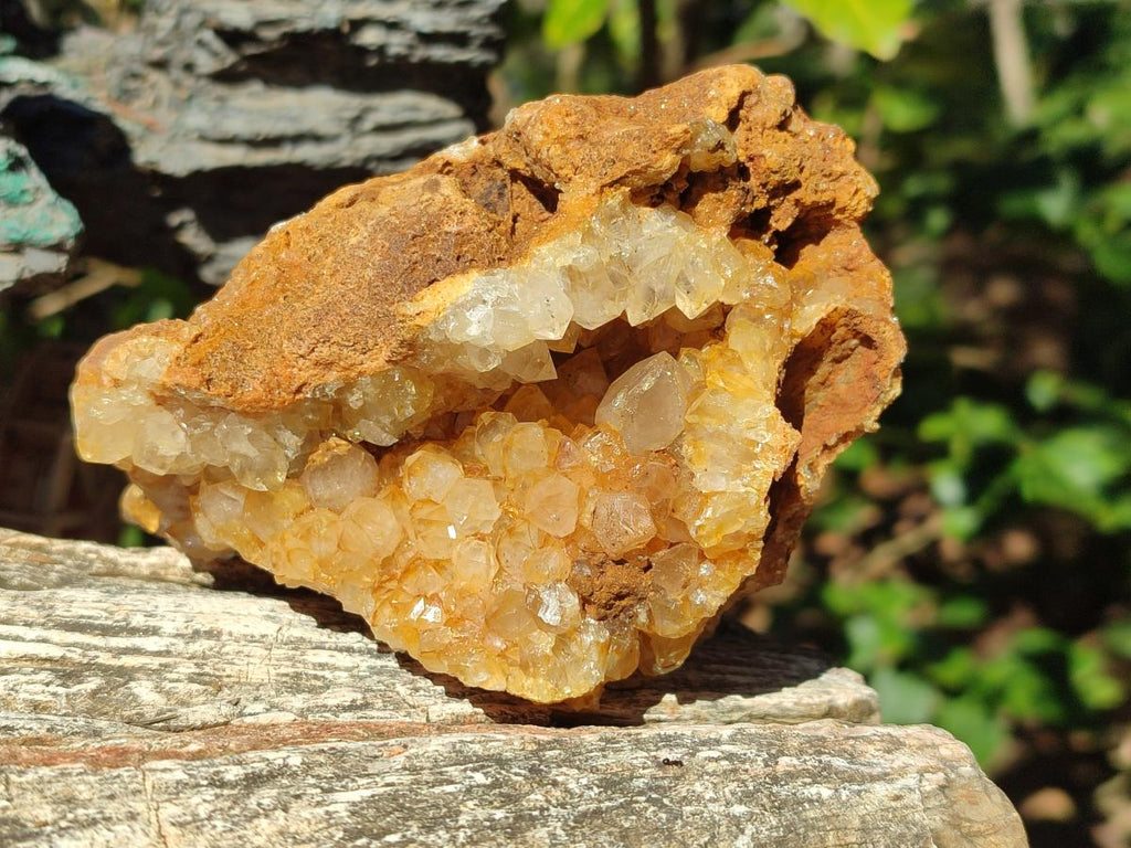 Natural Golden Limonite Quartz Clusters x 3 From Solwezi, Zambia - Toprock Gemstones and Minerals 