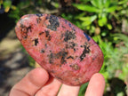 Polished Rhodonite Free Forms x 6 From Rhusinga, Zimbabwe - Toprock Gemstones and Minerals 