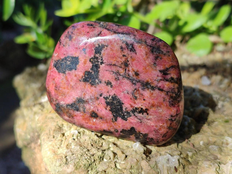 Polished Rhodonite Free Forms x 6 From Rhusinga, Zimbabwe - Toprock Gemstones and Minerals 
