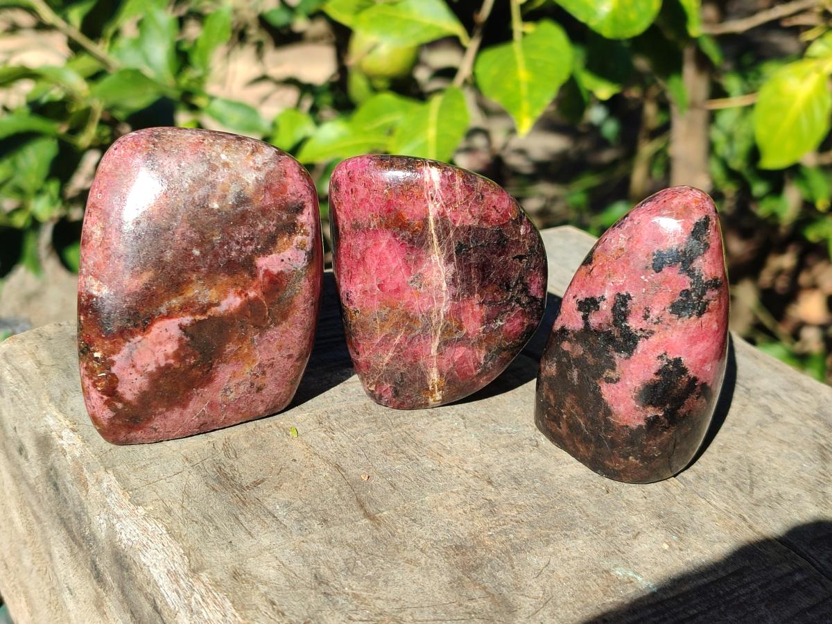 Polished Rhodonite Free Forms x 6 From Rhusinga, Zimbabwe - Toprock Gemstones and Minerals 