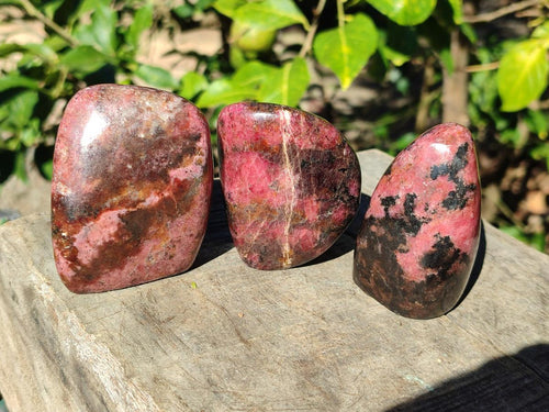 Polished Rhodonite Free Forms x 6 From Rhusinga, Zimbabwe - Toprock Gemstones and Minerals 