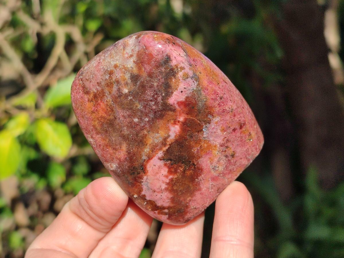Polished Rhodonite Free Forms x 6 From Rhusinga, Zimbabwe - Toprock Gemstones and Minerals 