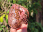 Polished Rhodonite Free Forms x 6 From Rhusinga, Zimbabwe - Toprock Gemstones and Minerals 