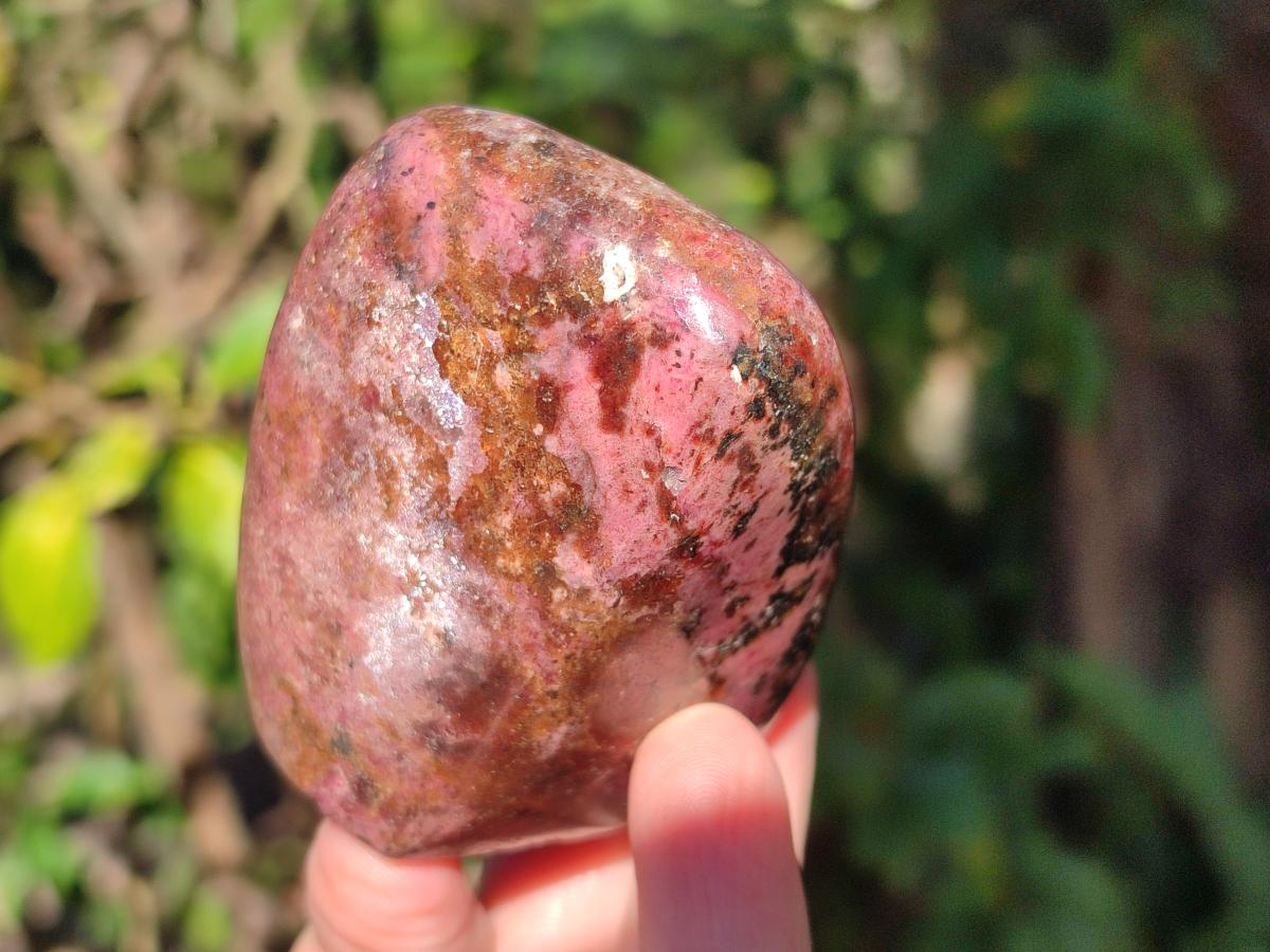 Polished Rhodonite Free Forms x 6 From Rhusinga, Zimbabwe - Toprock Gemstones and Minerals 