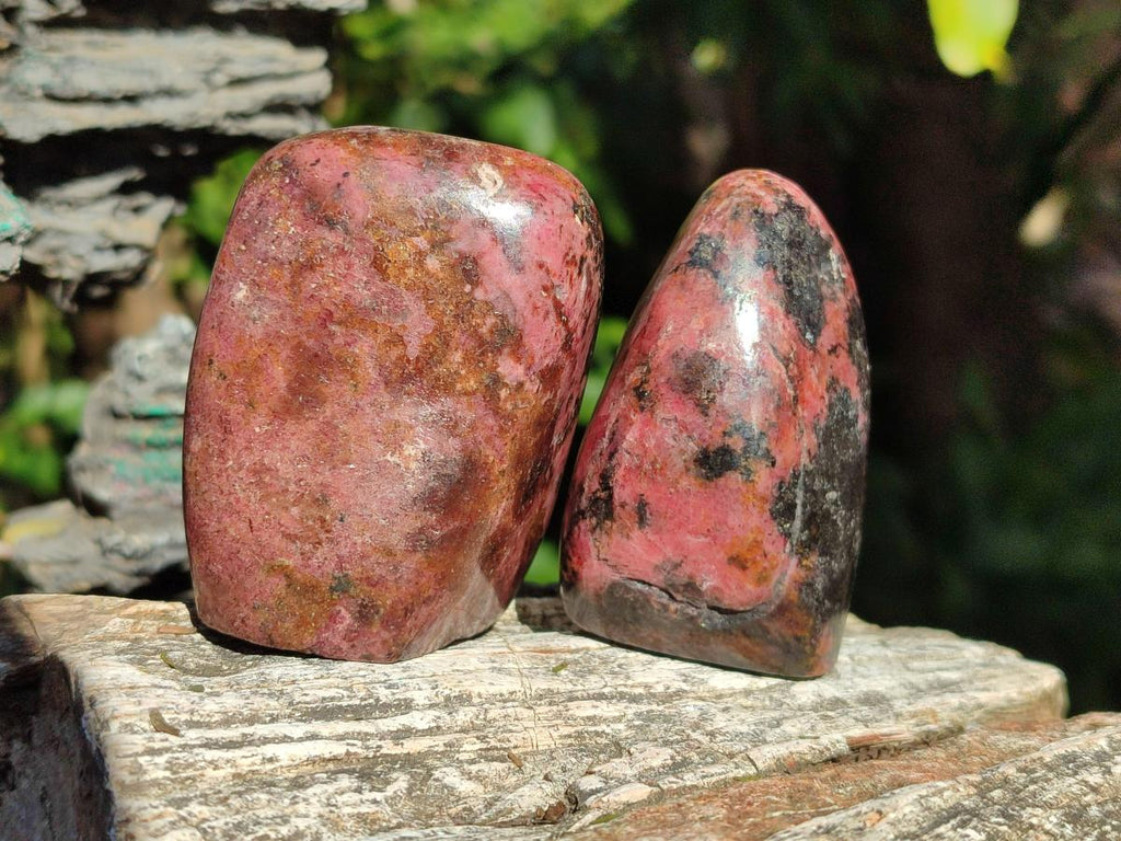 Polished Rhodonite Free Forms x 6 From Rhusinga, Zimbabwe - Toprock Gemstones and Minerals 