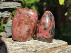Polished Rhodonite Free Forms x 6 From Rhusinga, Zimbabwe - Toprock Gemstones and Minerals 
