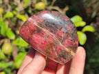 Polished Rhodonite Free Forms x 6 From Rhusinga, Zimbabwe - Toprock Gemstones and Minerals 