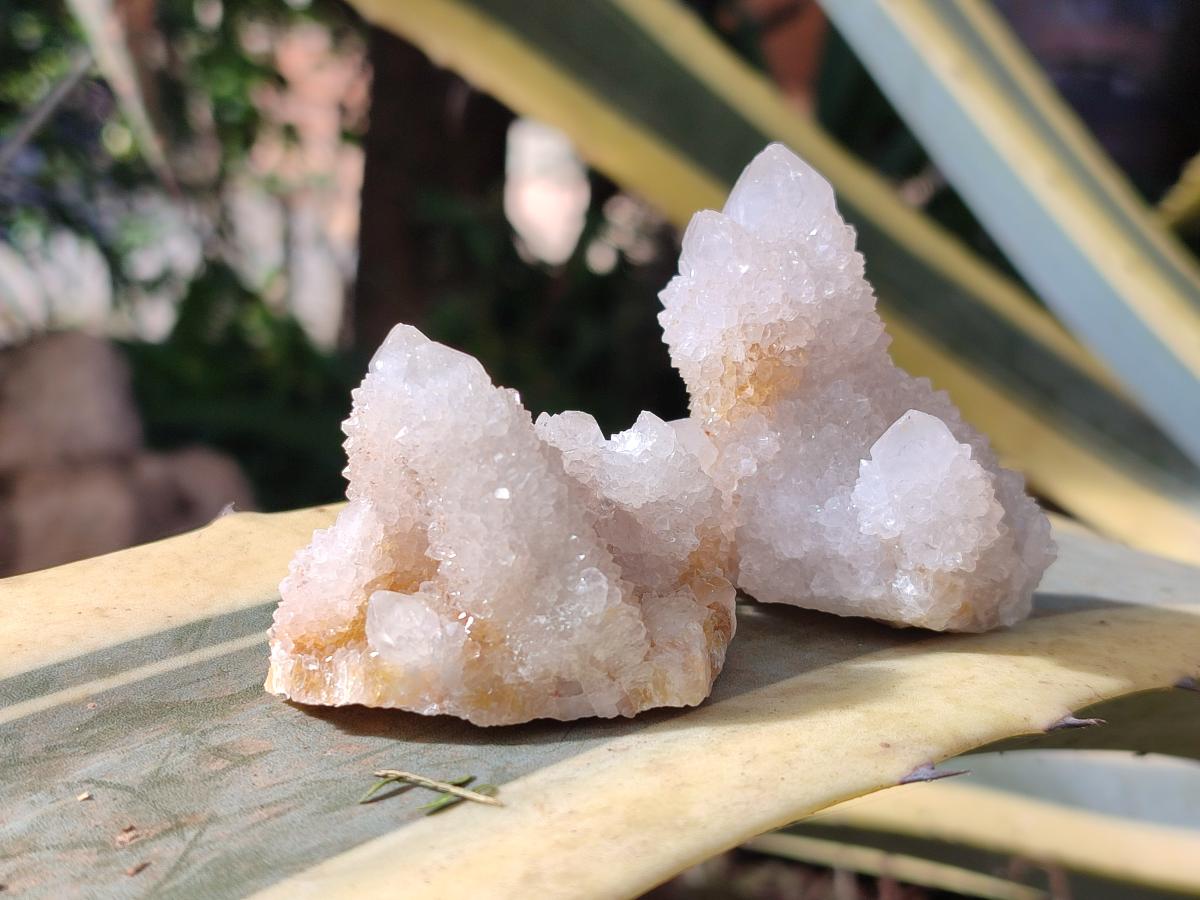 Natural Spirit Quartz Clusters x 12 From Boekenhouthoek, South Africa - Toprock Gemstones and Minerals 