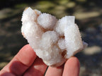 Natural Spirit Quartz Clusters x 12 From Boekenhouthoek, South Africa - Toprock Gemstones and Minerals 