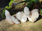 Natural Spirit Quartz Clusters x 12 From Boekenhouthoek, South Africa - Toprock Gemstones and Minerals 