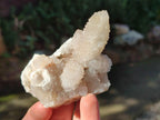 Natural Spirit Quartz Clusters x 12 From Boekenhouthoek, South Africa - Toprock Gemstones and Minerals 