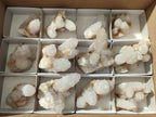 Natural Spirit Quartz Clusters x 12 From Boekenhouthoek, South Africa - Toprock Gemstones and Minerals 