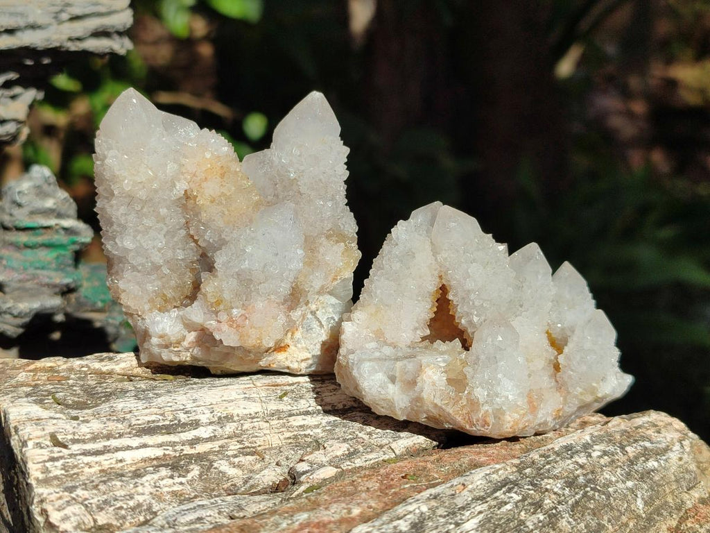 Natural Spirit Quartz Clusters x 12 From Boekenhouthoek, South Africa - Toprock Gemstones and Minerals 