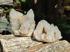 Natural Spirit Quartz Clusters x 12 From Boekenhouthoek, South Africa - Toprock Gemstones and Minerals 