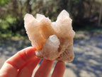 Natural Spirit Quartz Clusters x 12 From Boekenhouthoek, South Africa - Toprock Gemstones and Minerals 