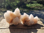 Natural Spirit Quartz Clusters x 12 From Boekenhouthoek, South Africa - Toprock Gemstones and Minerals 