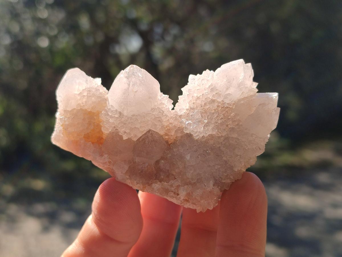 Natural Spirit Quartz Clusters x 12 From Boekenhouthoek, South Africa - Toprock Gemstones and Minerals 