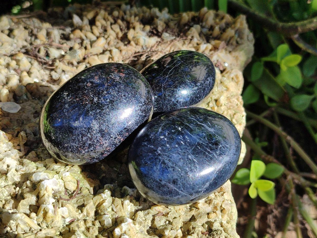 Polished Black Tourmaline Galets x 12 From Madagascar - Toprock Gemstones and Minerals 