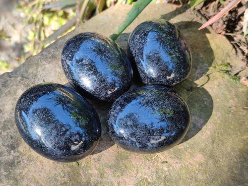 Polished Black Tourmaline Galets x 12 From Madagascar - Toprock Gemstones and Minerals 