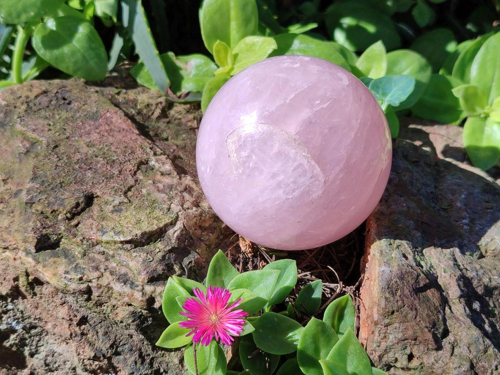 Polished Gemmy Star Rose Quartz Spheres x 2 From Madagascar - Toprock Gemstones and Minerals 