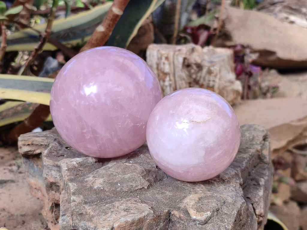 Polished Gemmy Star Rose Quartz Spheres x 2 From Madagascar - Toprock Gemstones and Minerals 