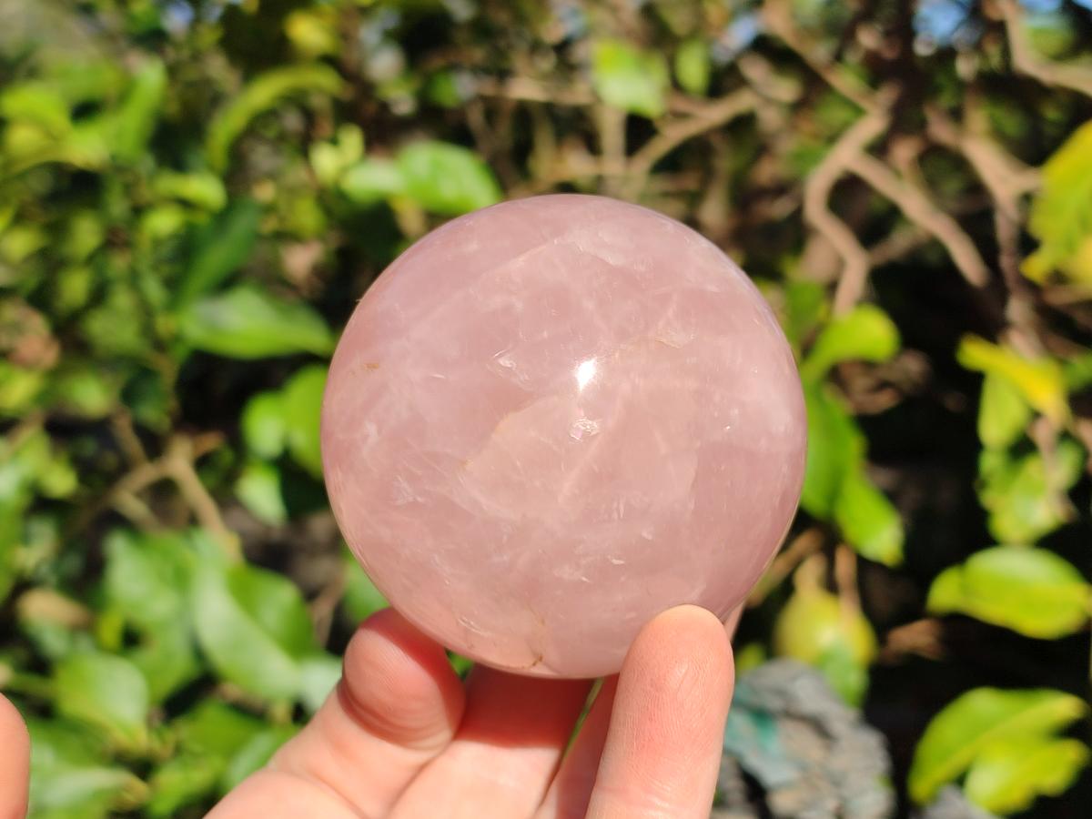 Polished Gemmy Star Rose Quartz Spheres x 2 From Madagascar - Toprock Gemstones and Minerals 