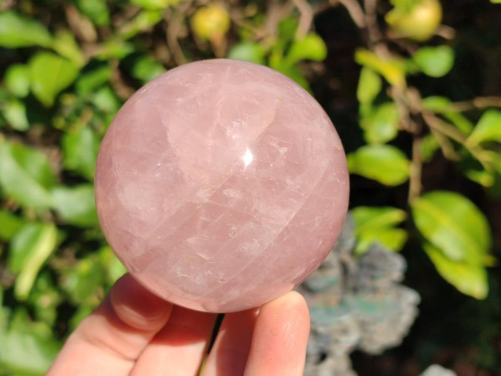 Polished Gemmy Star Rose Quartz Spheres x 2 From Madagascar - Toprock Gemstones and Minerals 