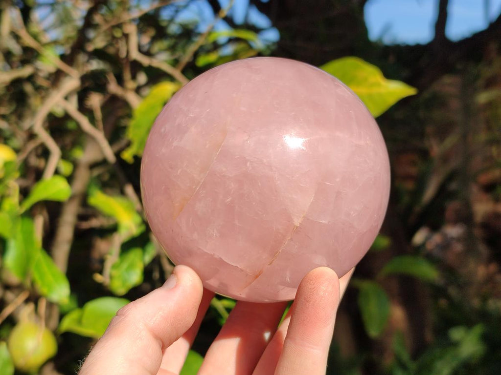 Polished Gemmy Star Rose Quartz Spheres x 2 From Madagascar - Toprock Gemstones and Minerals 