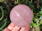 Polished Gemmy Star Rose Quartz Spheres x 2 From Madagascar - Toprock Gemstones and Minerals 