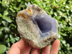 Natural Blue Lace Agate Geode Specimens x 6 From Nsanje, Malawi - Toprock Gemstones and Minerals 