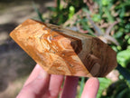 Polished Picture Stone Jasper Display Crystal Points x 2 From Ais-Ais, Namibia - Toprock Gemstones and Minerals 