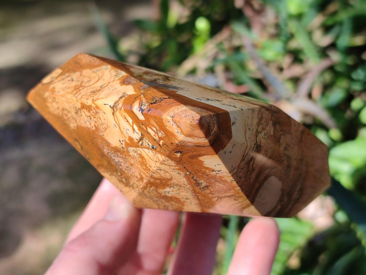 Polished Picture Stone Jasper Display Crystal Points x 2 From Ais-Ais, Namibia - Toprock Gemstones and Minerals 