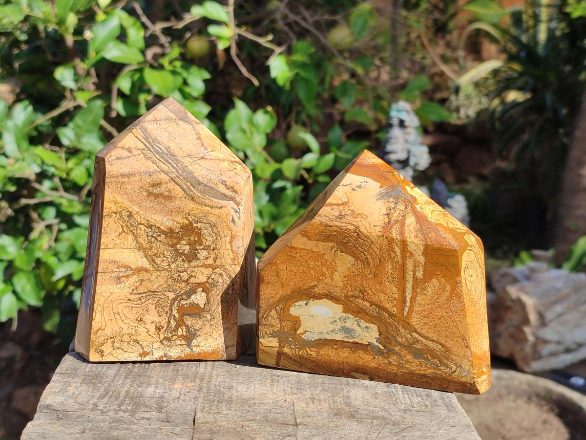 Polished Picture Stone Jasper Display Crystal Points x 2 From Ais-Ais, Namibia - Toprock Gemstones and Minerals 