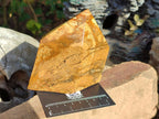 Polished Picture Stone Jasper Display Crystal Points x 2 From Ais-Ais, Namibia - Toprock Gemstones and Minerals 