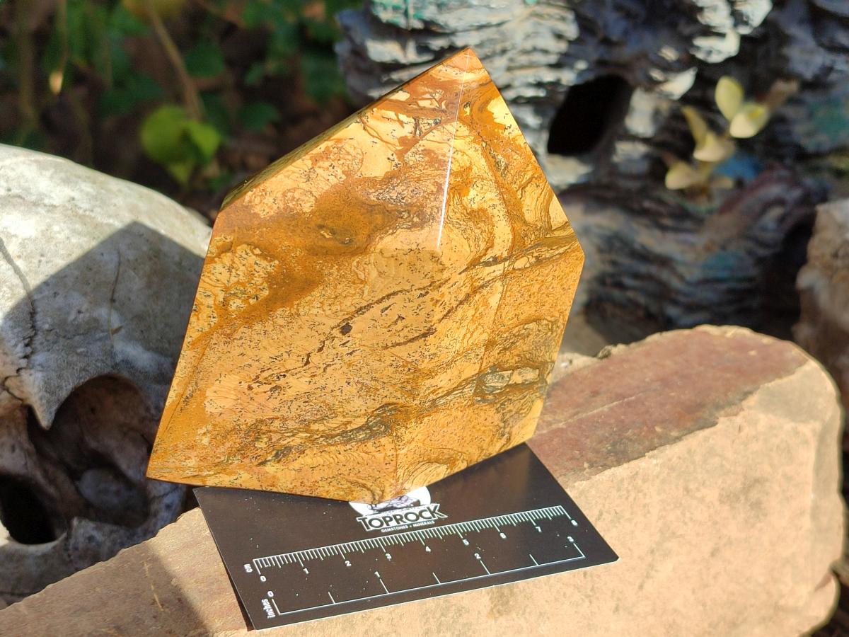 Polished Picture Stone Jasper Display Crystal Points x 2 From Ais-Ais, Namibia - Toprock Gemstones and Minerals 